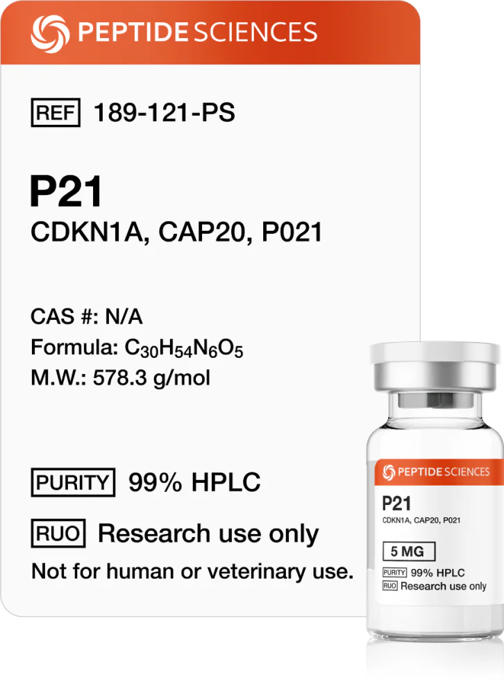 p21_peptide.webp